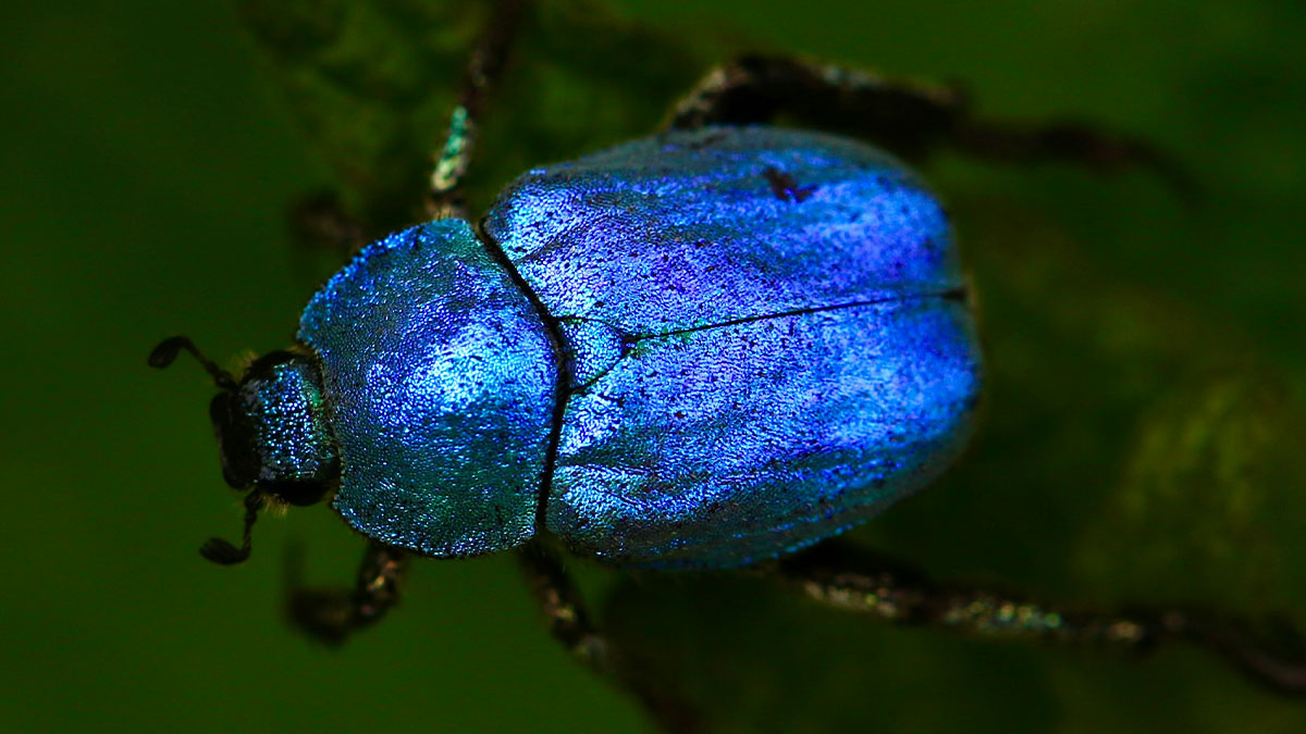 32 Random Facts That Seem Too Weird To Be True, Yet They Are, According To Folks Online