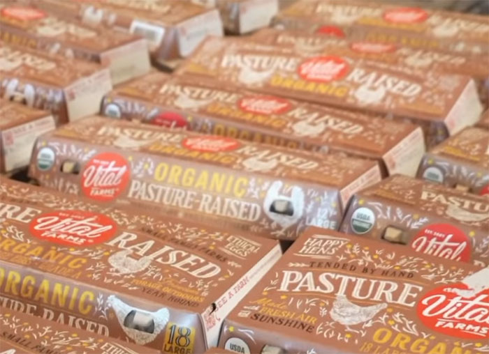 Man Eats Over 700 Eggs In One Month To Prove It Doesn’t Increase “Bad” Cholesterol Levels Man Eats Over 700 Eggs In One Month To Prove It Doesn’t Increase “Bad” Cholesterol Levels