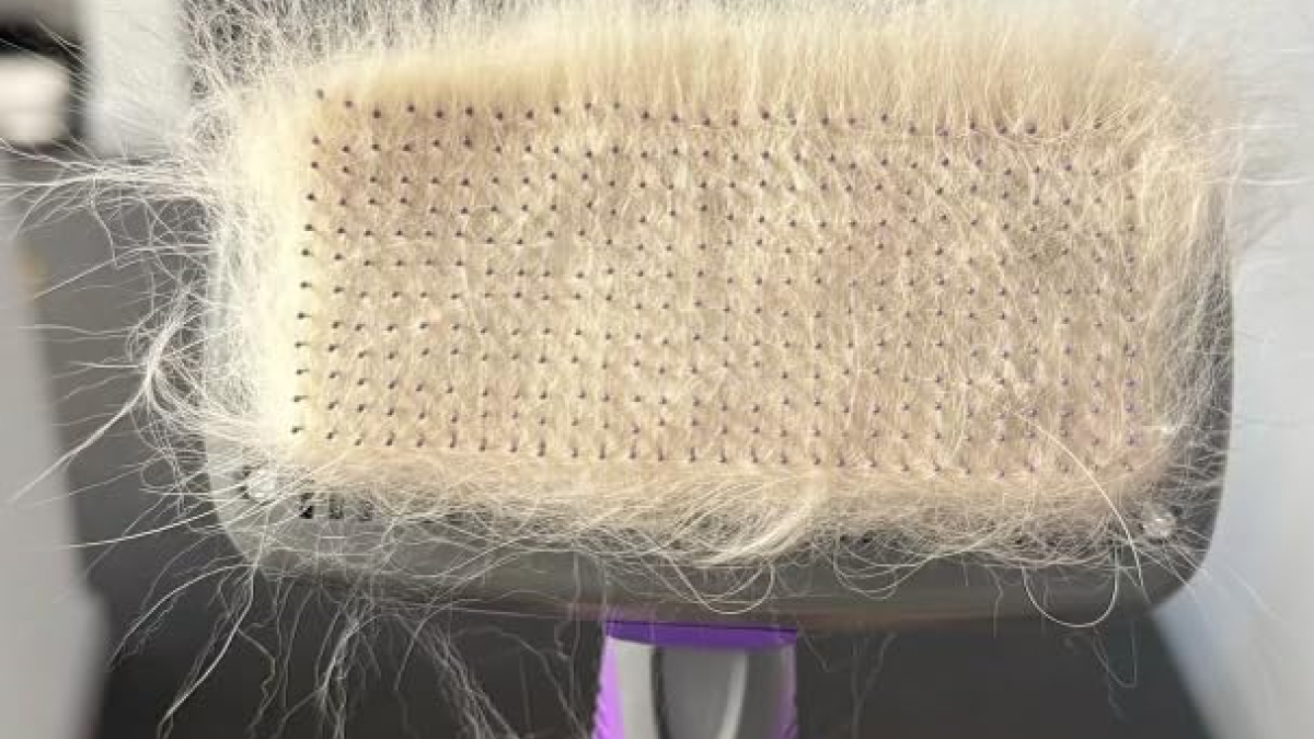 22 Problem Solvers That Do Their Job A Little Too Well