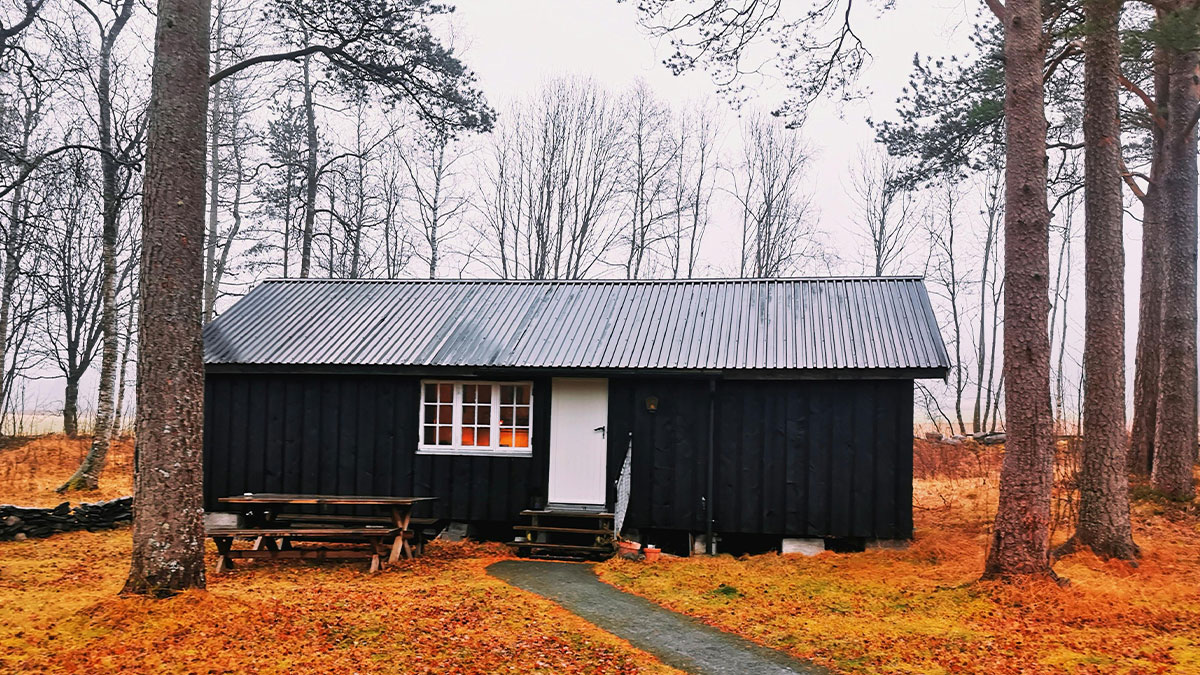 Guy Turns To Web For Legal Advice After 100% Of Neighbor’s House Is Built On His Property