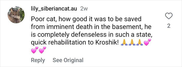 Giant Cat “Crumb” That Weighs Nearly 40 lb Was Rescued From Russian Basement, Sparks Anger Giant Cat “Crumb” That Weighs Nearly 40 lb Was Rescued From Russian Basement, Sparks Anger