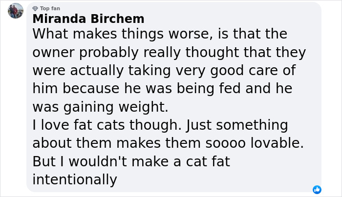 Giant Cat “Crumb” That Weighs Nearly 40 lb Was Rescued From Russian Basement, Sparks Anger Giant Cat “Crumb” That Weighs Nearly 40 lb Was Rescued From Russian Basement, Sparks Anger