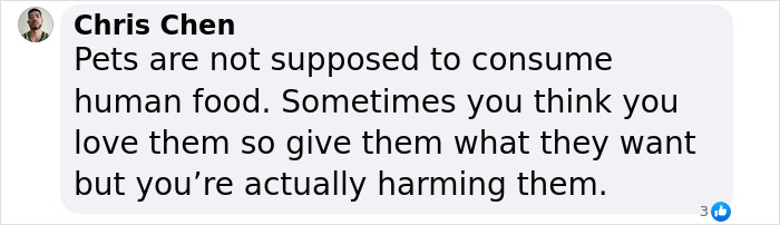 Giant Cat “Crumb” That Weighs Nearly 40 lb Was Rescued From Russian Basement, Sparks Anger Giant Cat “Crumb” That Weighs Nearly 40 lb Was Rescued From Russian Basement, Sparks Anger