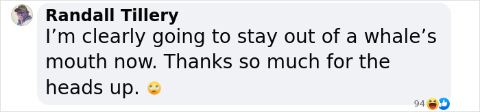 Terrifying Simulation Reveals What Would Happen To Your Body If Swallowed By A Whale Terrifying Simulation Reveals What Would Happen To Your Body If Swallowed By A Whale