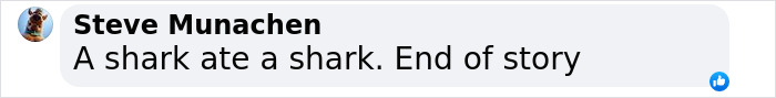 Scientists Reconsider Food Chain As 8-Foot-Long Shark Gets Eaten By Another Predator Scientists Reconsider Food Chain As 8-Foot-Long Shark Gets Eaten By Another Predator