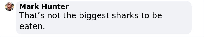 Scientists Reconsider Food Chain As 8-Foot-Long Shark Gets Eaten By Another Predator Scientists Reconsider Food Chain As 8-Foot-Long Shark Gets Eaten By Another Predator