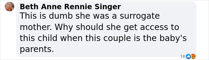 Surrogate Mother Wins The Right To Keep Seeing Child She Birthed In Landmark Case, Lawyer Reacts Surrogate Mother Wins The Right To Keep Seeing Child She Birthed In Landmark Case, Lawyer Reacts
