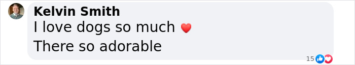 Puppy Is Frozen By Rare Disease, Recovers And Takes First Steps Despite Nobody Believing Puppy Is Frozen By Rare Disease, Recovers And Takes First Steps Despite Nobody Believing