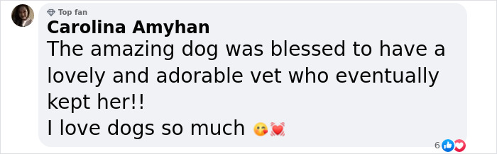 Puppy Is Frozen By Rare Disease, Recovers And Takes First Steps Despite Nobody Believing Puppy Is Frozen By Rare Disease, Recovers And Takes First Steps Despite Nobody Believing