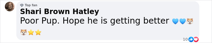 Puppy Is Frozen By Rare Disease, Recovers And Takes First Steps Despite Nobody Believing Puppy Is Frozen By Rare Disease, Recovers And Takes First Steps Despite Nobody Believing