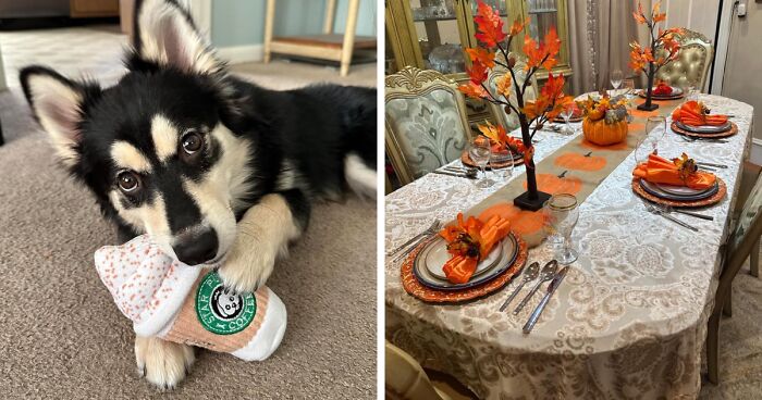 If Your Blood Type Is PSL, These 20 Fall Finds Are For You