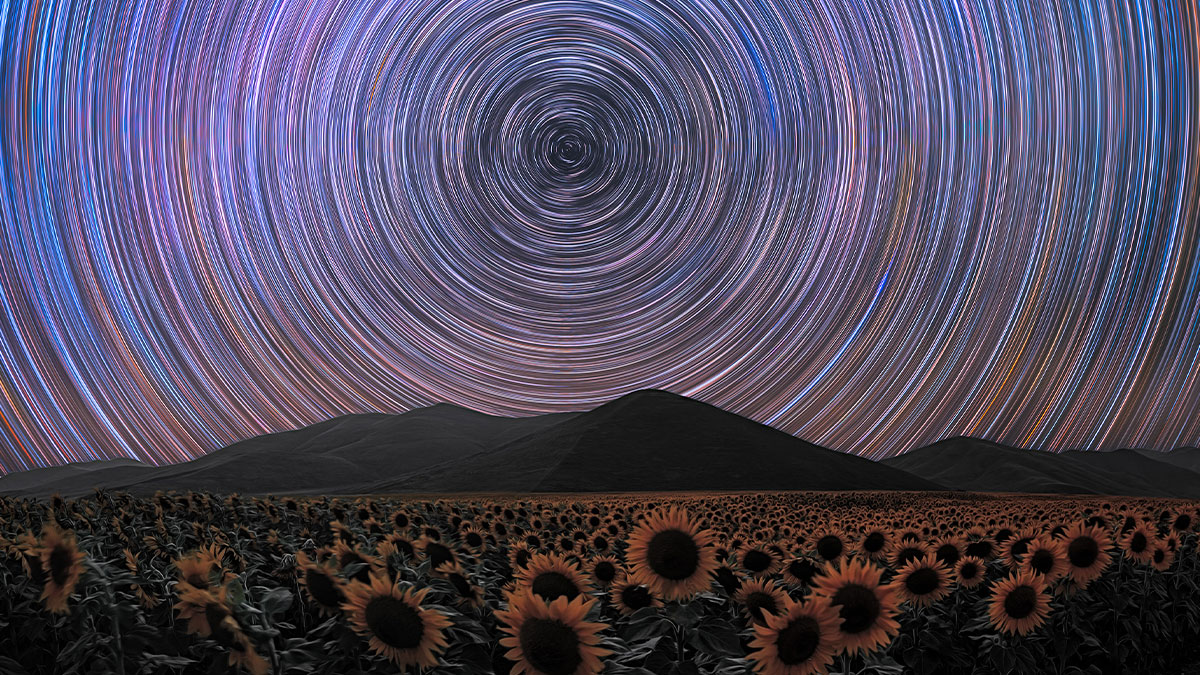 2024 IPA Winners: Unveiling The Future Of Photography In 20 Pictures