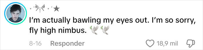 Content Creator Shares Heartbreaking Update Of Dog’s Passing Due To Dad’s Negligence Content Creator Shares Heartbreaking Update Of Dog’s Passing Due To Dad’s Negligence