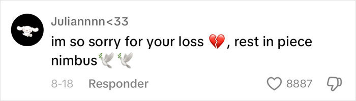 Content Creator Shares Heartbreaking Update Of Dog’s Passing Due To Dad’s Negligence Content Creator Shares Heartbreaking Update Of Dog’s Passing Due To Dad’s Negligence