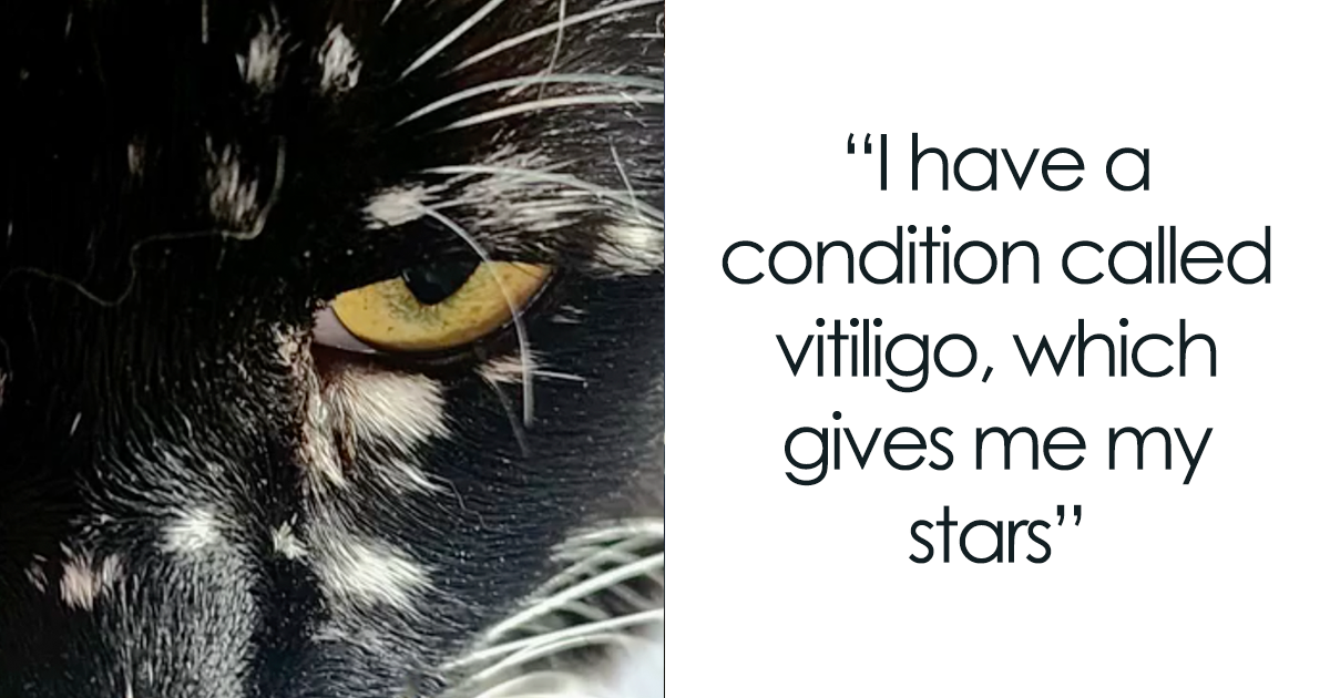 Magical Cat Has Condition That Makes His Fur Look Like A Galaxy Of