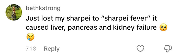 “This Will Be A Controversial One”: Vet Lists 5 Dog Breeds He Would Never Own “This Will Be A Controversial One”: Vet Lists 5 Dog Breeds He Would Never Own