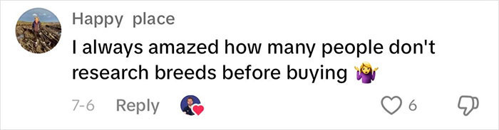 “This Will Be A Controversial One”: Vet Lists 5 Dog Breeds He Would Never Own “This Will Be A Controversial One”: Vet Lists 5 Dog Breeds He Would Never Own