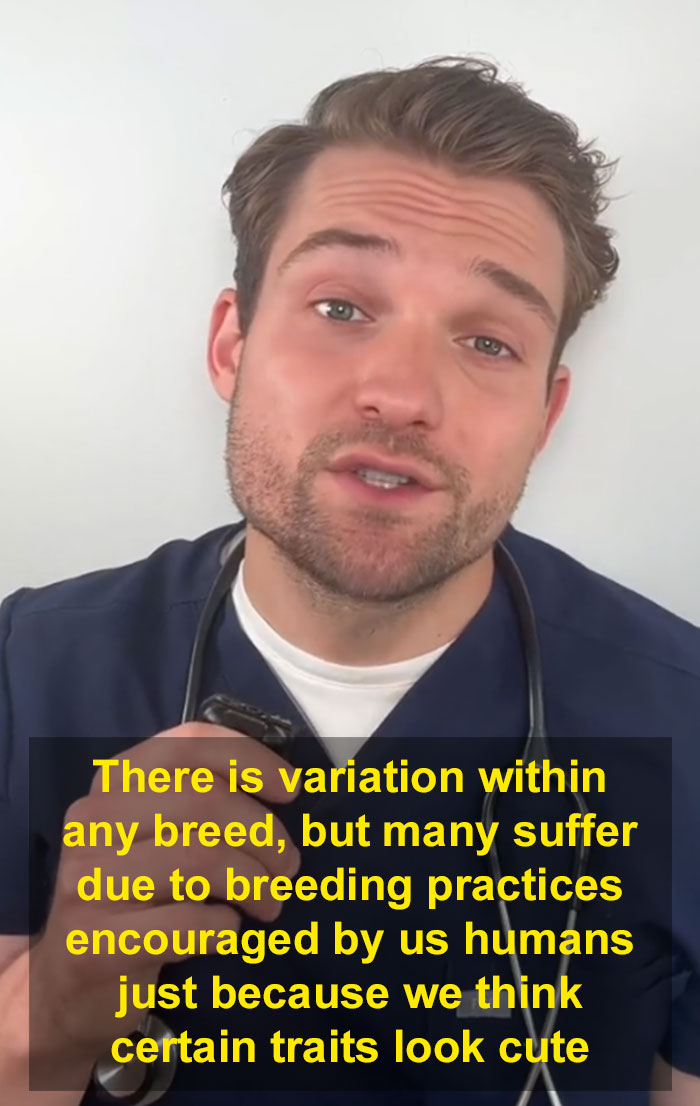 “This Will Be A Controversial One”: Vet Lists 5 Dog Breeds He Would Never Own “This Will Be A Controversial One”: Vet Lists 5 Dog Breeds He Would Never Own