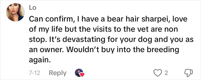 “This Will Be A Controversial One”: Vet Lists 5 Dog Breeds He Would Never Own “This Will Be A Controversial One”: Vet Lists 5 Dog Breeds He Would Never Own