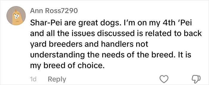 “This Will Be A Controversial One”: Vet Lists 5 Dog Breeds He Would Never Own “This Will Be A Controversial One”: Vet Lists 5 Dog Breeds He Would Never Own