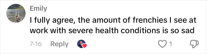 “This Will Be A Controversial One”: Vet Lists 5 Dog Breeds He Would Never Own “This Will Be A Controversial One”: Vet Lists 5 Dog Breeds He Would Never Own