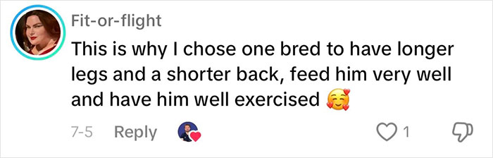 “This Will Be A Controversial One”: Vet Lists 5 Dog Breeds He Would Never Own “This Will Be A Controversial One”: Vet Lists 5 Dog Breeds He Would Never Own
