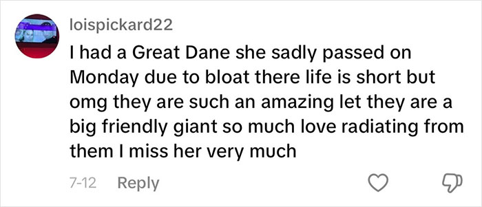 “This Will Be A Controversial One”: Vet Lists 5 Dog Breeds He Would Never Own “This Will Be A Controversial One”: Vet Lists 5 Dog Breeds He Would Never Own