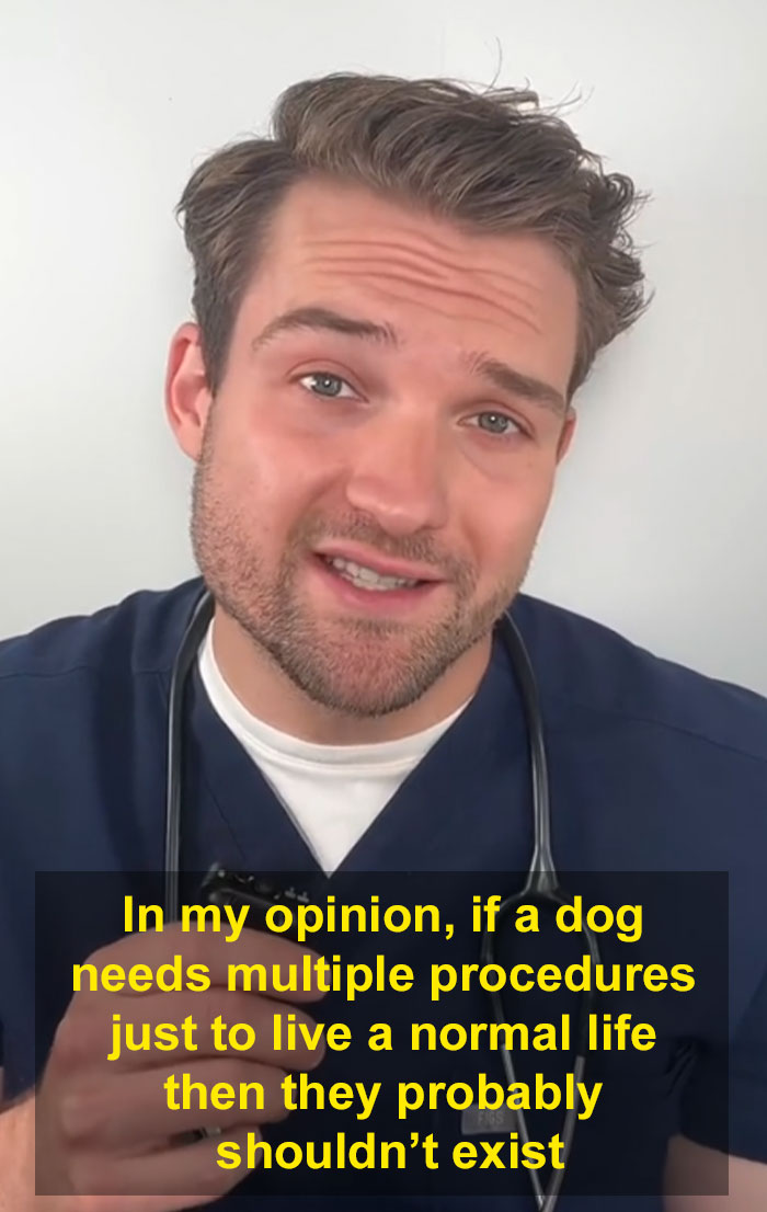 “This Will Be A Controversial One”: Vet Lists 5 Dog Breeds He Would Never Own “This Will Be A Controversial One”: Vet Lists 5 Dog Breeds He Would Never Own