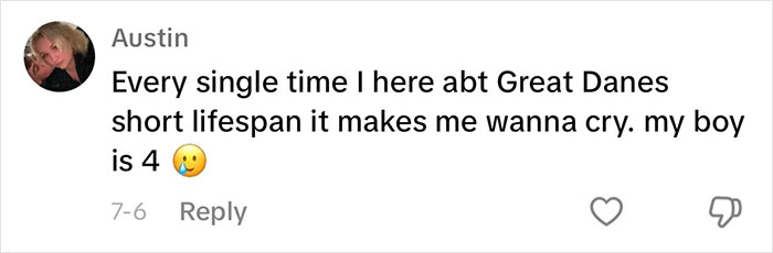 “This Will Be A Controversial One”: Vet Lists 5 Dog Breeds He Would Never Own “This Will Be A Controversial One”: Vet Lists 5 Dog Breeds He Would Never Own