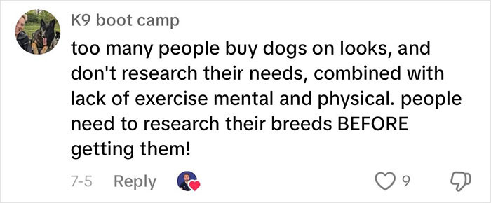 “This Will Be A Controversial One”: Vet Lists 5 Dog Breeds He Would Never Own “This Will Be A Controversial One”: Vet Lists 5 Dog Breeds He Would Never Own
