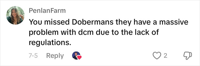 “This Will Be A Controversial One”: Vet Lists 5 Dog Breeds He Would Never Own “This Will Be A Controversial One”: Vet Lists 5 Dog Breeds He Would Never Own