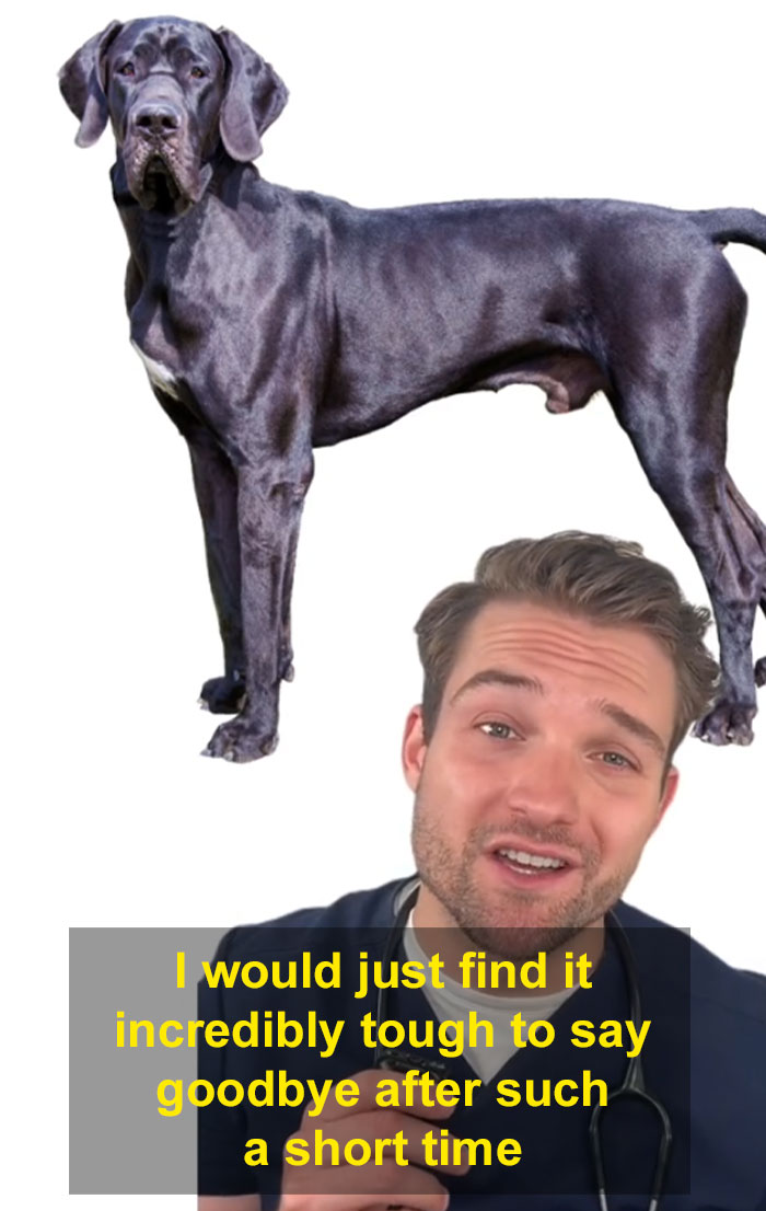 “This Will Be A Controversial One”: Vet Lists 5 Dog Breeds He Would Never Own “This Will Be A Controversial One”: Vet Lists 5 Dog Breeds He Would Never Own