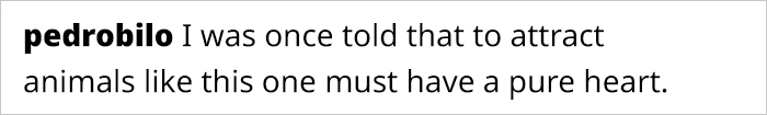 This Guy Saved A Baby Hummingbird And Soon Found Out She Wasn’t Alone This Guy Saved A Baby Hummingbird And Soon Found Out She Wasn’t Alone