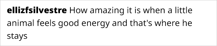 This Guy Saved A Baby Hummingbird And Soon Found Out She Wasn’t Alone This Guy Saved A Baby Hummingbird And Soon Found Out She Wasn’t Alone