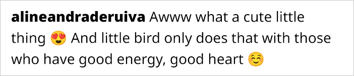 This Guy Saved A Baby Hummingbird And Soon Found Out She Wasn’t Alone This Guy Saved A Baby Hummingbird And Soon Found Out She Wasn’t Alone