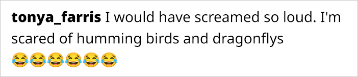 This Guy Saved A Baby Hummingbird And Soon Found Out She Wasn’t Alone This Guy Saved A Baby Hummingbird And Soon Found Out She Wasn’t Alone