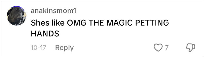 Mailman Finds A Hilarious Way To Greet Beloved Dog Each Morning On His Route Mailman Finds A Hilarious Way To Greet Beloved Dog Each Morning On His Route