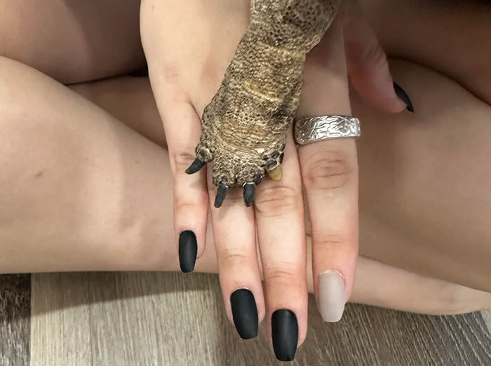 People Online Are Obsessed With This Cute Tortoise And His Owner, Who Got A Matching Manicure People Online Are Obsessed With This Cute Tortoise And His Owner, Who Got A Matching Manicure