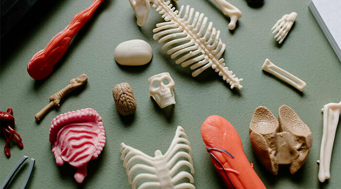 If You’ve Taken Science Lessons Before, You Shouldn’t Make More Than 3 Mistakes In This Trivia If You’ve Taken Science Lessons Before, You Shouldn’t Make More Than 3 Mistakes In This Trivia