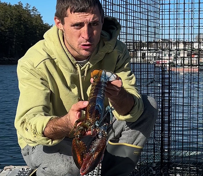 "Woke" And "Nonbinary" Half Male, Half Female Lobster Goes Viral Online "Woke" And "Nonbinary" Half Male, Half Female Lobster Goes Viral Online