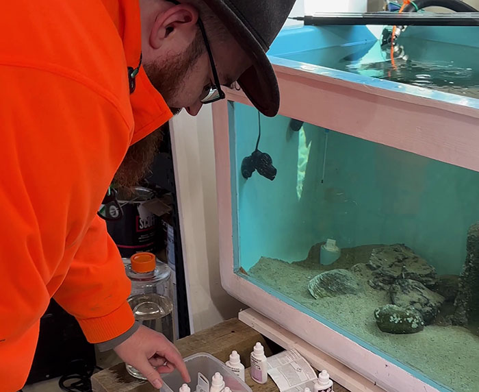 "Woke" And "Nonbinary" Half Male, Half Female Lobster Goes Viral Online "Woke" And "Nonbinary" Half Male, Half Female Lobster Goes Viral Online