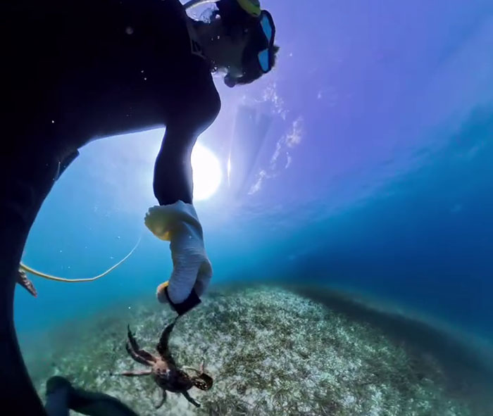 People Online Are Very Amused By This Crab Who Stole A Camera And Went On Filming His Adventures People Online Are Very Amused By This Crab Who Stole A Camera And Went On Filming His Adventures