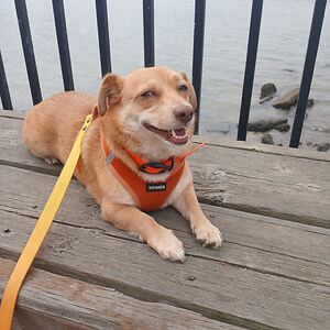 ashleylsimmons avatar