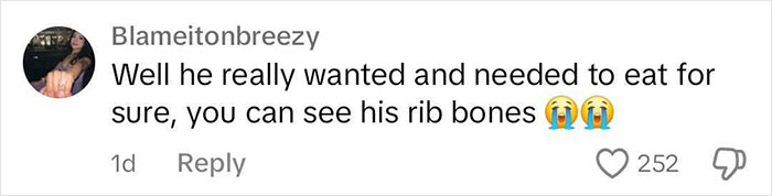 Dog Poops Out Rainbow Orbeez After He Apparently Mistook Them For A Good Snack Dog Poops Out Rainbow Orbeez After He Apparently Mistook Them For A Good Snack