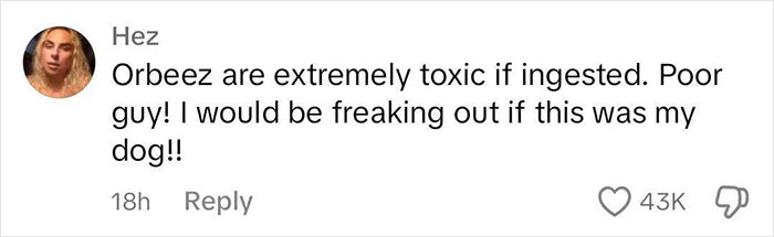 Dog Poops Out Rainbow Orbeez After He Apparently Mistook Them For A Good Snack Dog Poops Out Rainbow Orbeez After He Apparently Mistook Them For A Good Snack