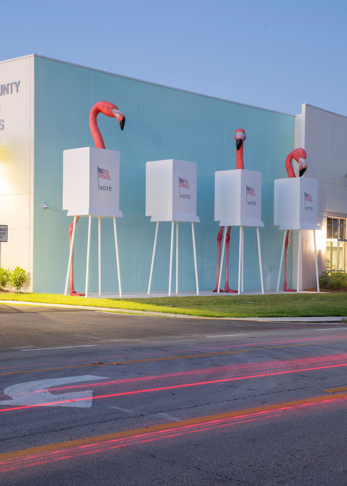 Flamingo Fever: Inspiring Votes With A Pop Of Pink (17 Pics)