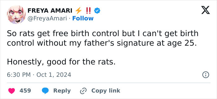 "Rat Birth Control" Bill Passed In New York City Sparks Outrage: "I Can't Get An Abortion" "Rat Birth Control" Bill Passed In New York City Sparks Outrage: "I Can't Get An Abortion"