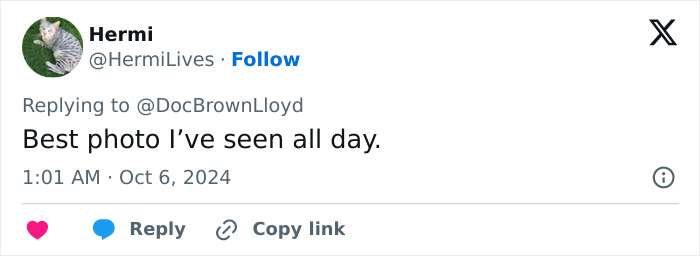 Cast of 1991's ‘The Addams Family’ Reunites For The First Time In Years: “Now I Wanna Cry” Cast of 1991's ‘The Addams Family’ Reunites For The First Time In Years: “Now I Wanna Cry”