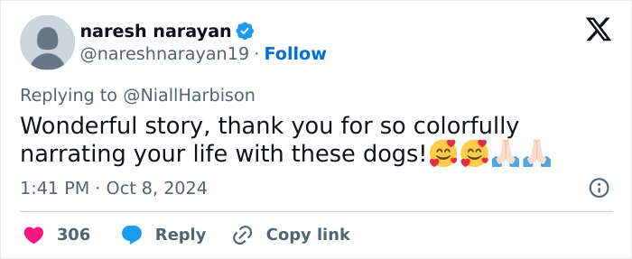 Stray Dog Is Melting Hearts Online For Bringing A Gift For Man Every time He Comes To Feed Her Stray Dog Is Melting Hearts Online For Bringing A Gift For Man Every time He Comes To Feed Her