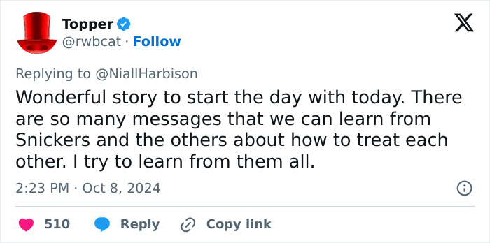 Stray Dog Is Melting Hearts Online For Bringing A Gift For Man Every time He Comes To Feed Her Stray Dog Is Melting Hearts Online For Bringing A Gift For Man Every time He Comes To Feed Her